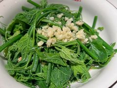 白灼丝瓜尖-来菜·湖北头牌藕汤(银泰创意城店)