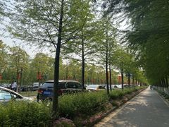 -上海长兴岛郊野公园