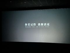-左岸国际电影城(松江沃尔玛店)