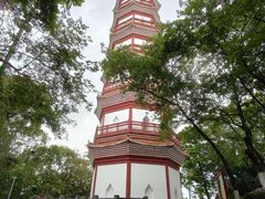 -分塔山省级森林公园