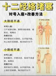 点击看大图 -玛莲朵·海菲秀冰珀科