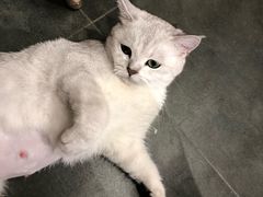 -熊姬手作茶物(汇金谷店)