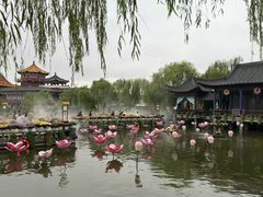 -中国翰园碑林