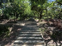 -东莞市大岭山森林公园
