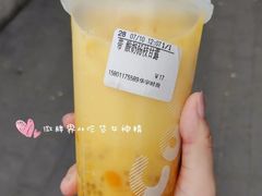 酸奶杨枝甘露-CoCo都可(中集店)