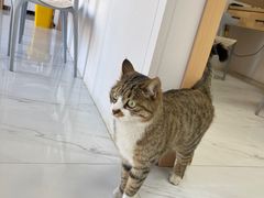 -邢大夫动物医院