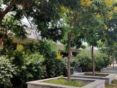 -藁城北服务区-停车场