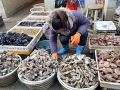 -渡海小渔村.老辈日照菜
