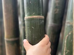 -成都杜甫草堂博物馆