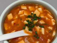 番茄炖豆腐-阿五黄河大鲤鱼(海尚店)