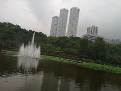 -龙头寺公园