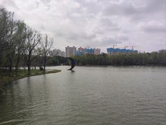 -昆山城市生态森林公园