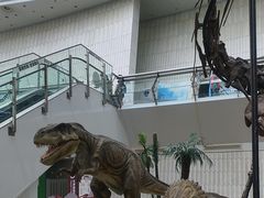 -天津自然博物馆