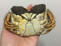 -小陆莲花蟹园农家乐(莲花岛店)