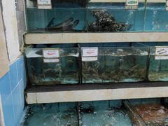 水产区-秋姐美食店(旅游大道店)