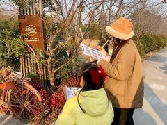 -九善农植有机生活农场