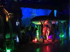 -芜湖新华联大白鲸海洋公园
