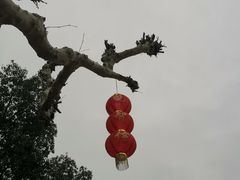 -蒋氏故居