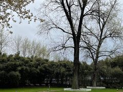-江苏省泗阳县成子湖旅游度假区综合服务中心-停车场