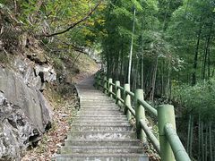 -藏龙百瀑风景区