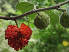 -周口店北京人遗址公园