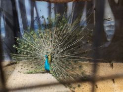 -酷嗒动物文化乐园(cutezoo西溪乐天城店)