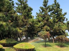 -日照灯塔风景区