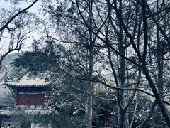 -潭柘寺景区