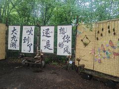 -大九湖