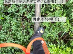 -芦仙山景区-飞越丛林探险乐园