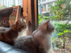 -咖法森林·咖啡  酒吧(天河店)