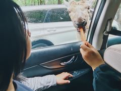 -秦皇岛野生动物园