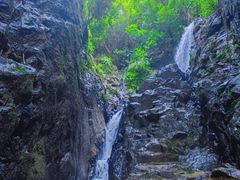 -阳台山森林公园