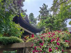 -惠山古镇·寄畅园