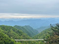 -塔云山