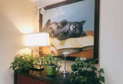 -咪咪比基尼脱毛专业店