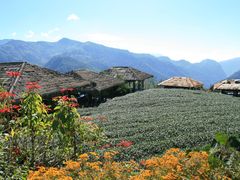 -优游吧斯邹族文化部落