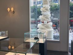 -BLACKSWAN黑天鹅(新希望店)