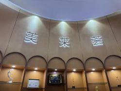 -深圳美莱医疗美容医院