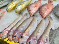 -三亚火车头万人海鲜广场