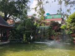 -碧江金楼