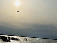 -卧龙湖
