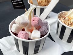 果粒酸奶块-JW德国冻酸奶Frozen Yogurt(龙湖成都滨江天街店)