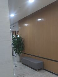 -雍禾植发
