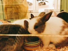 -龙猫仔乐园(惠福东路店)