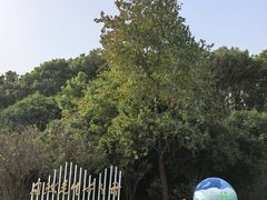 -同里国家湿地公园
