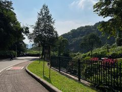 -火炉山森林公园