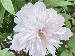 -洛阳市隋唐城遗址植物园