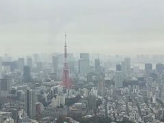 -六本木新城展望台(东京城市景观)