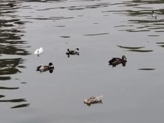 -迎泽公园